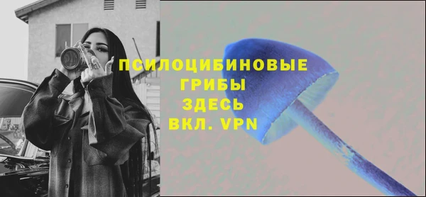 трава Коряжма