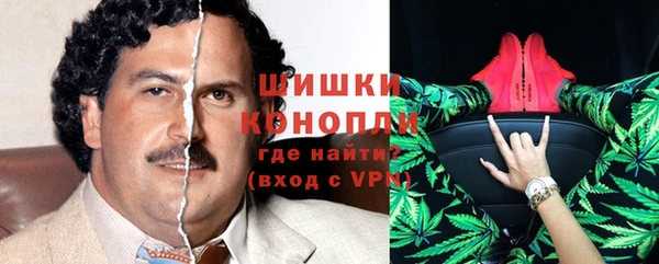 индика Санкт-Петербург