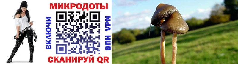 Галлюциногенные грибы мухоморы  купить  цена  Аксай 